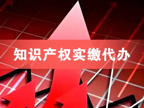 威海知识产权实缴资本代办